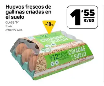 AhorraMas Huevos frescos de gallinas criadas en el suelo oferta
