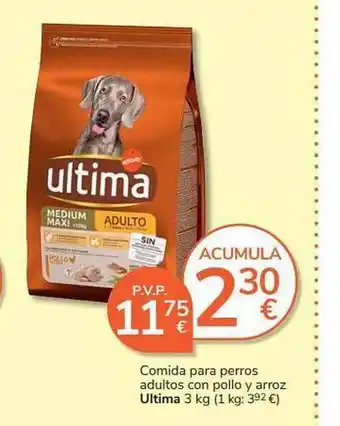 Supermercados Charter Comida Para Perros Adultos Con Polo Y Arroz Ultima oferta