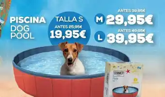 Piscina Dog Pool