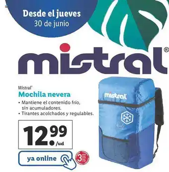 Lidl Mistral Mochila Nevera oferta