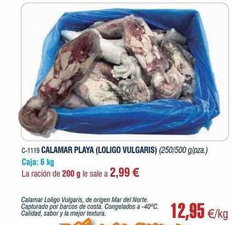 Abordo Calamar Playa (loligo Vulgaris) oferta