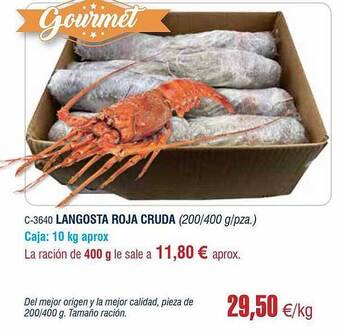 Abordo Langosta Roja Cruda oferta