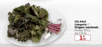 Alcampo Col Kale Manojo 300 g oferta