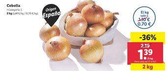 Lidl Cebolla 2 kg oferta