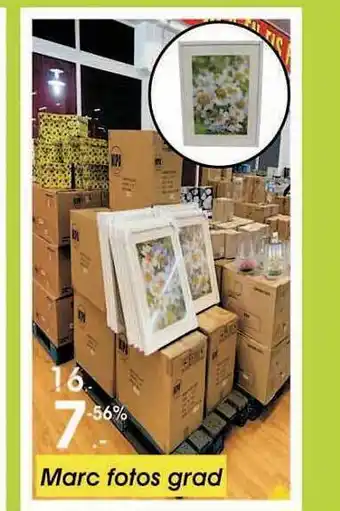 Hipo Gegant Marc Fotos Grad oferta