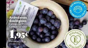 Gadis Arándanos Ecológicos oferta