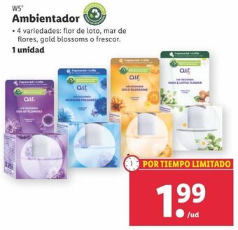 Lidl Ambientadores w5 oferta