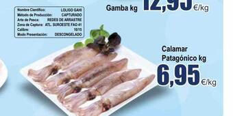 FROIZ Calamar Patagónico Kg oferta