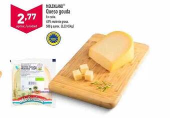 ALDI Molenland Queso Gouda oferta