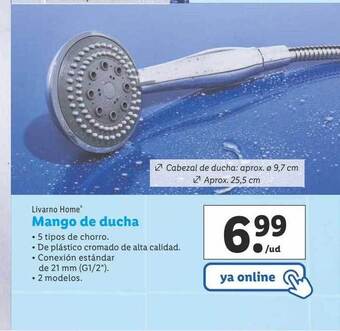 Lidl Livarno Home Mango De Ducha oferta