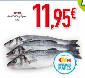 Masymas Lubina oferta