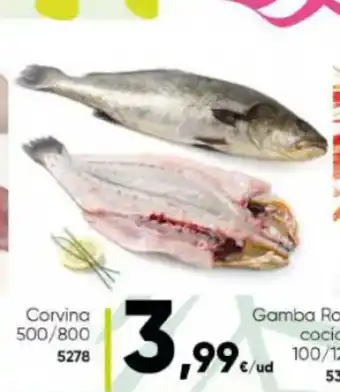 Family Cash Corvina 500/800 5278 oferta