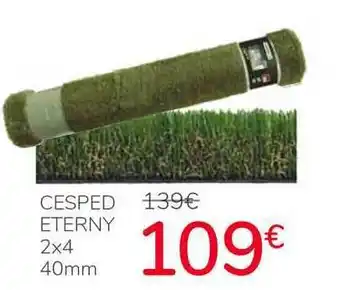 Carrefour Cesped Eterny 2x4 40mm oferta