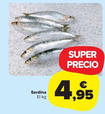 Carrefour Market Sardina el kg oferta