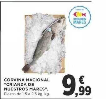 Supercor Corvina Nacional oferta