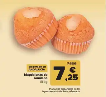 Carrefour Magdalenas De Jamilena oferta