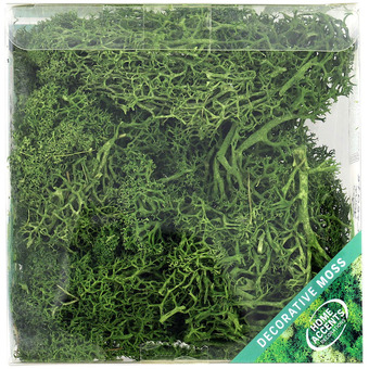 Action Musgo decorativo Home Accents oferta