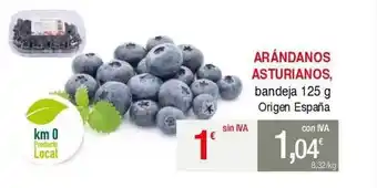 Masymas Arándanos Asturianos oferta