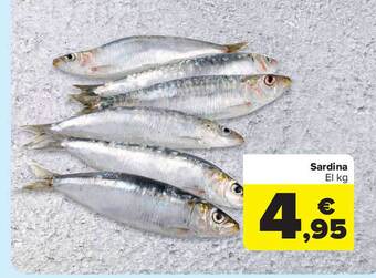 Carrefour Sardina El Kg oferta