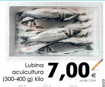 Cash Ifa Lubina Acuicultura oferta