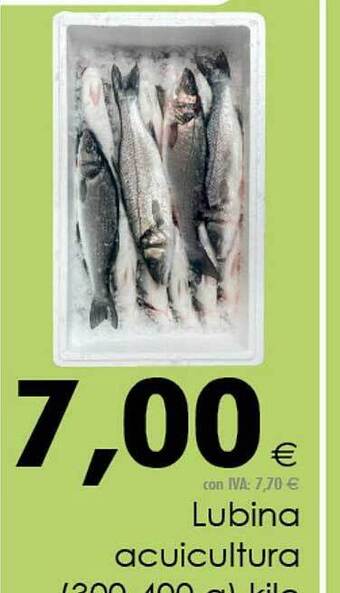 Cash Ifa Lubina Acuicultura oferta
