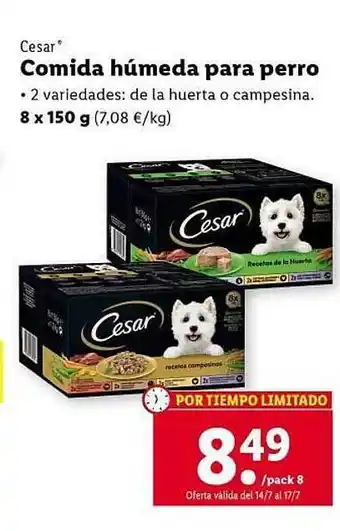 Lidl Comida Húmeda Para Perro oferta