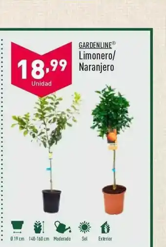 ALDI Gardenline Limonero-naranjero oferta
