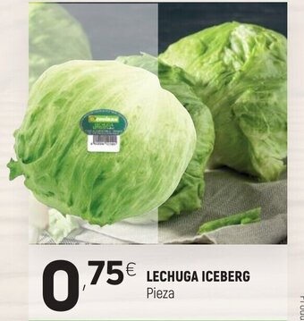 Coviran Lechuga Iceberg oferta