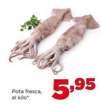 Alimerka Pota Fresca oferta