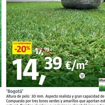 Bauhaus Césped oferta