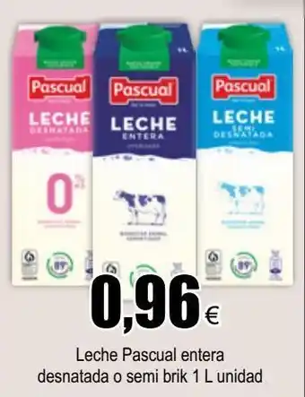FROIZ Leche pascual pascual oferta