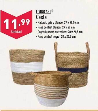 ALDI Living art cesta oferta