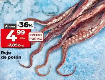 Dia Supermercados Rejo de potón oferta