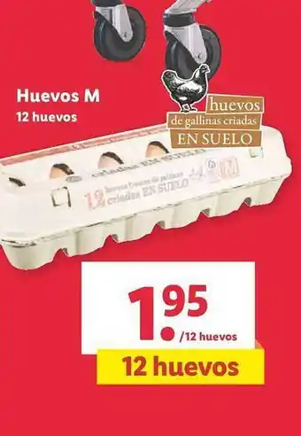 Lidl Huevos m 12 huevos oferta
