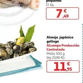 Alcampo Almeja oferta