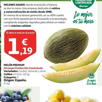 Alcampo Melón oferta