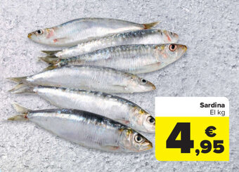 Carrefour Sardina El kg oferta