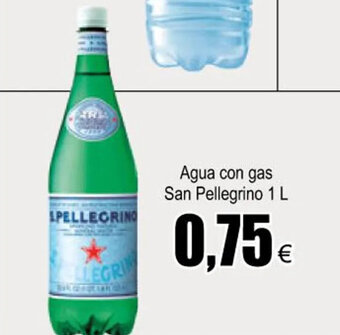 FROIZ Agua Con Gas San Pellegrino 1L oferta