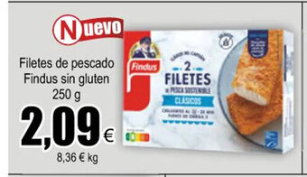 FROIZ Filetes de Pescado Findus Sin Gluten oferta