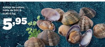 Alimerka Almeja de cultivo, malla de 500g oferta