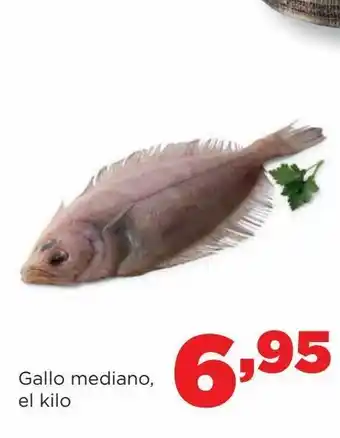 Alimerka Gallo mediano de kilo oferta