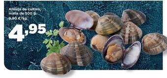 Alimerka Almeja de cultivo oferta