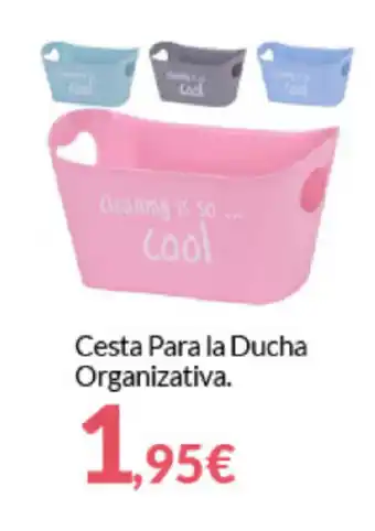Cesta Para la Ducha Organizativa