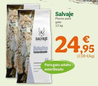 TiendAnimal Pienso para gatos oferta