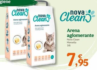 Arena para gatos