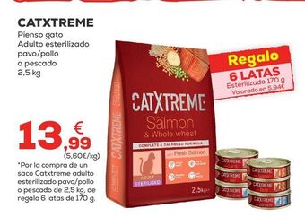 Kiwoko Pienso para gatos oferta