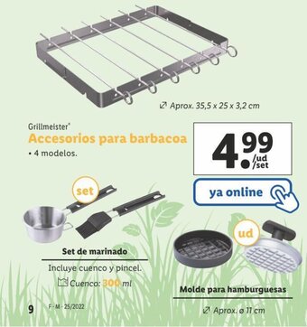 Lidl Accesorios para barbacoa oferta