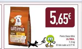 Masymas Perro seco mini ultima oferta