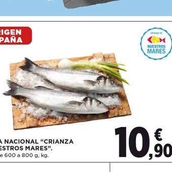 El Corte Inglés Lubina nacional oferta