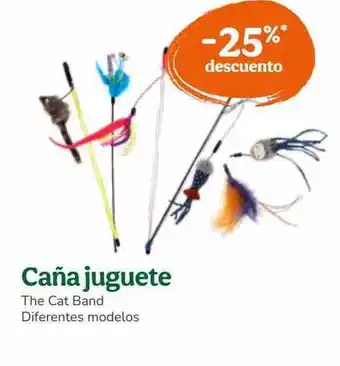 Caña juguete the cat band diferentes modelos
